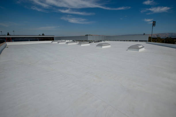 Best Asphalt Shingle Roofing  in South Russell, OH